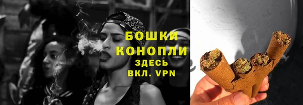 индика Михайлов