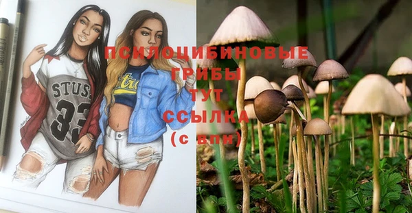 твердый Алексин