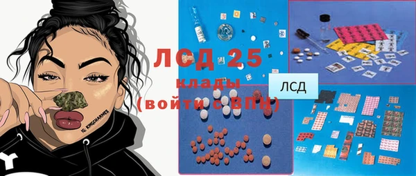 гашик Михайловск