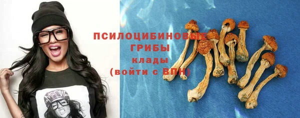 apvp Надым