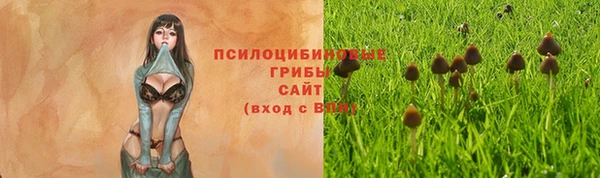 apvp Надым