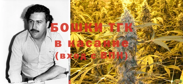 индика Михайлов