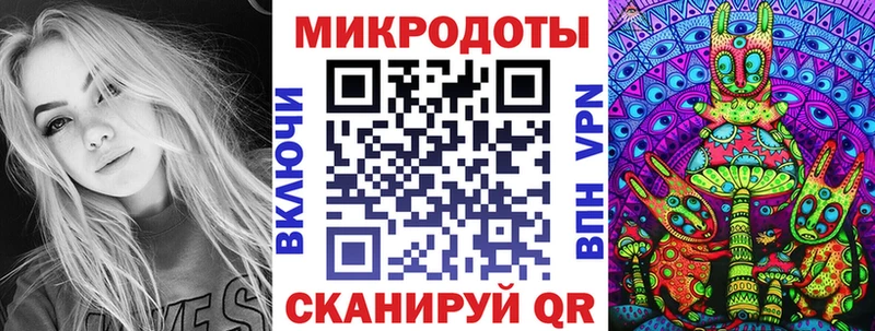 Галлюциногенные грибы Psilocybine cubensis  Новомичуринск 